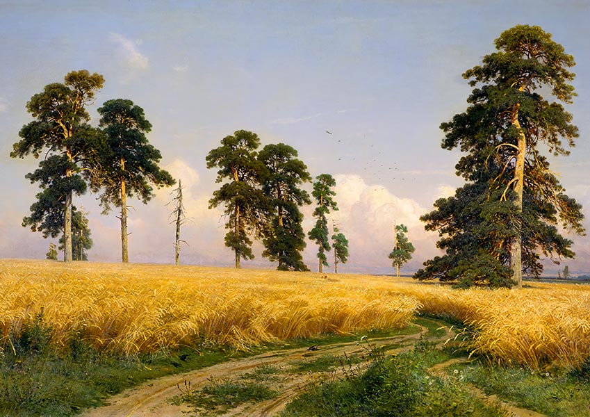 Rye Fields - Ivan Shishkin - Fine Art Print