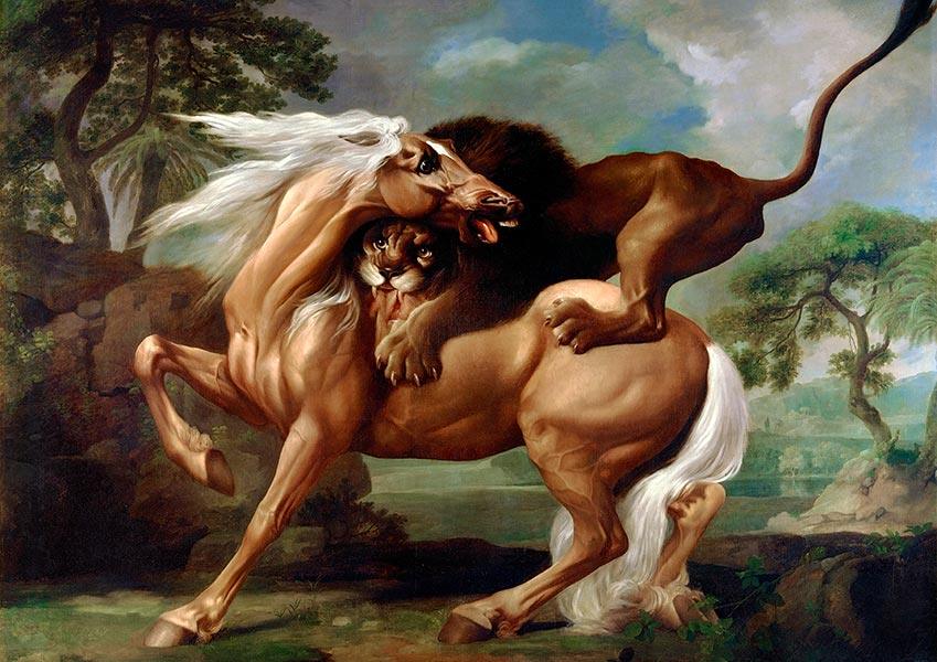 A Lion Attacking a Horse - 1762 - George Stubbs - Fine Art Print - Classic Posters