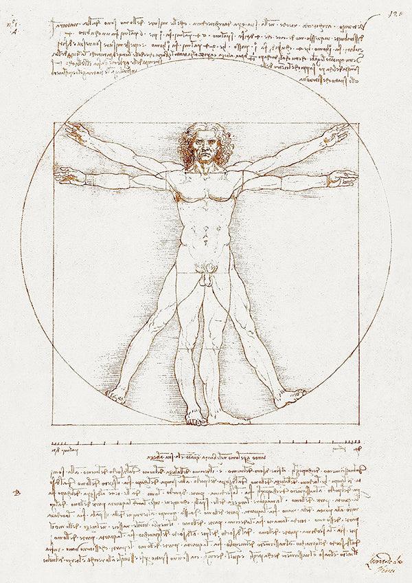 Vitruvian Man - 1490 - Leonardo da Vinci - Fine Art Print - Classic Posters