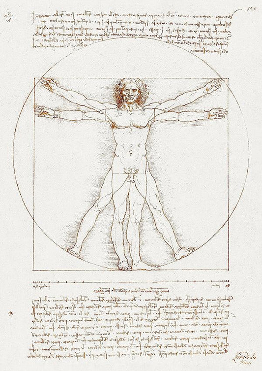 Vitruvian Man - 1490 - Leonardo da Vinci - Fine Art Print - Classic Posters