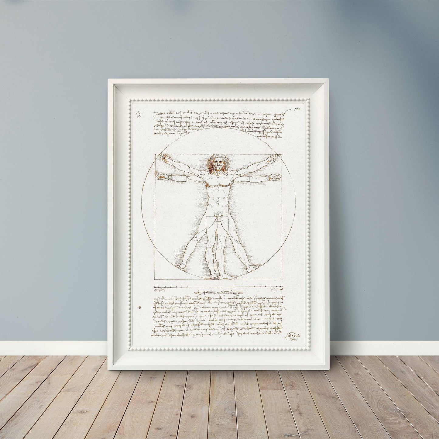 Vitruvian Man - 1490 - Leonardo da Vinci - Fine Art Print - Classic Posters