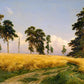 Rye Fields - Ivan Shishkin - Fine Art Print