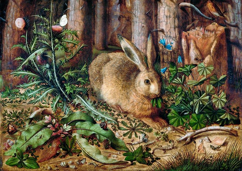 A Hare in the Forest - 1585 - Hans Hoffmann - Fine Art Print - Classic Posters