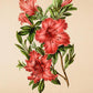 Azalea Indica - Vintage Flower Print - Classic Posters