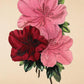 Azalea Murrayana - Vintage Flower Print - Classic Posters