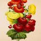 Calceolaria Integrifolia - Vintage Flower Print - Classic Posters
