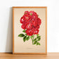 Garden Rose - Vintage Flower Poster - Floribunda Rosa - Classic Posters
