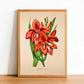 Gladiolus Hybridus - Antique Flower Poster - Classic Posters