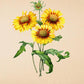Great Blanket - Antique Flower Poster - Gaillardia Aristata - Classic Posters