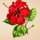 Hibiscus Fulgidus - Antique Flower Poster - Classic Posters