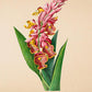 Lavandine Amornee - Vintage Flower Poster - Classic Posters