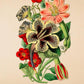 Lilium Bulbiferum - Vintage Flower Poster - Classic Posters