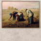 The Gleaners - 1857 - Jean-Francois Millet - Fine Art Print - Classic Posters