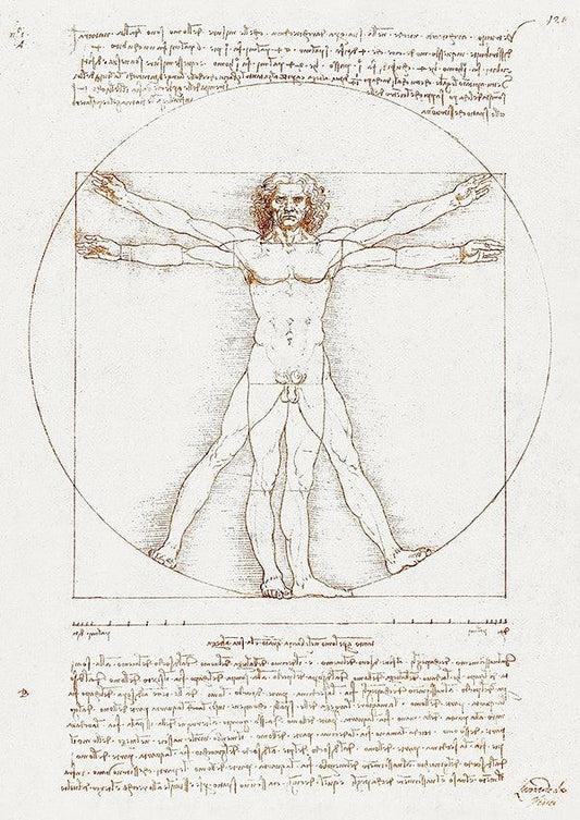 Vitruvian Man - 1490 - Leonardo da Vinci - Fine Art Print - Classic Posters