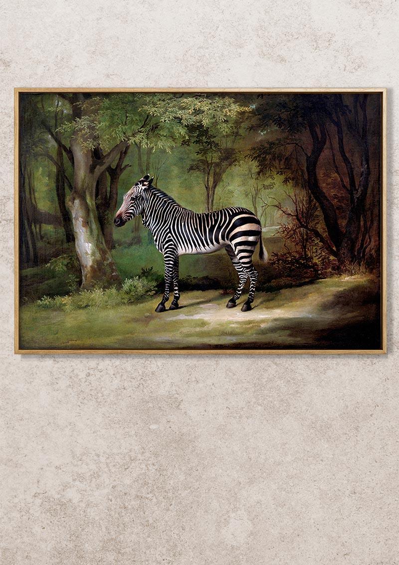 Zebra - 1763 - George Stubbs - Fine Art Print - Classic Posters